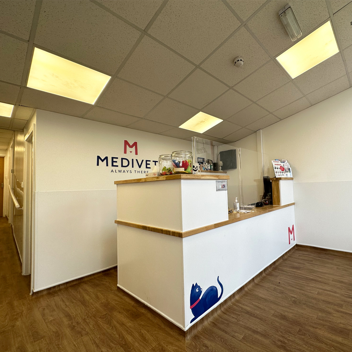 Reception area with Medivet logo on internal wall and branded graphics applied to desk