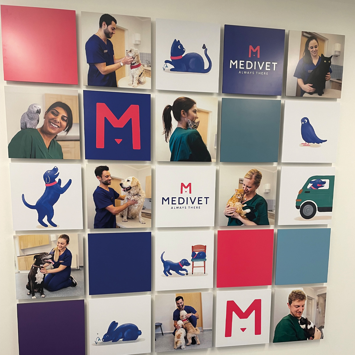 Graphic panel montage on internal wall with pet images and Medivet branding